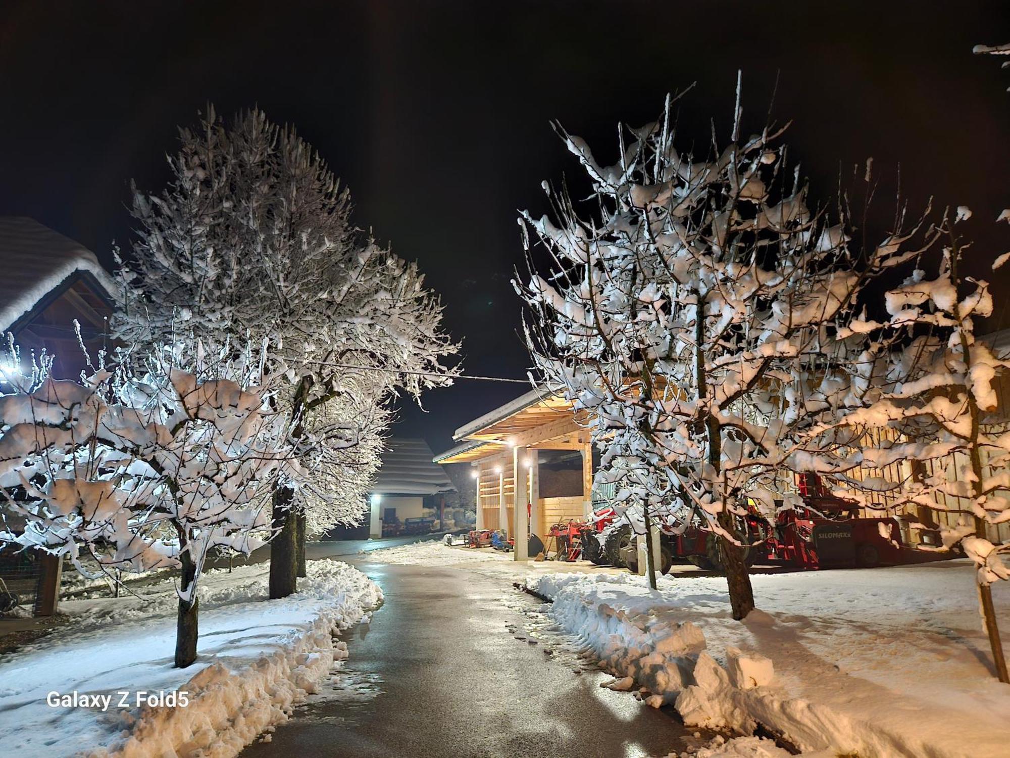 Tourist Farm Megusar Škofja Loka Exterior foto